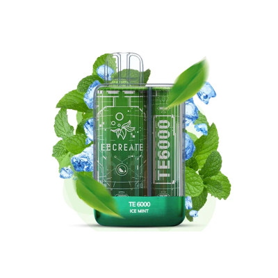 Электронная сигарета Elf Bar TE6000 Ice mint (Ледяная мята) 5% 6000 затяжек