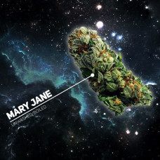 Табак для кальяна Darkside Mary Jane 2.0 (Мэри Джейн) 250 г Табак для кальяна Darkside Mary Jane 2.0 (Мэри Джейн) 250 г