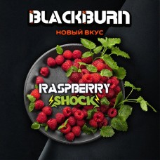 Табак для кальяна Black Burn Raspberry Shock (Кислая малина) 100 г Табак для кальяна Black Burn Raspberry Shock (Кислая малина) 100 г