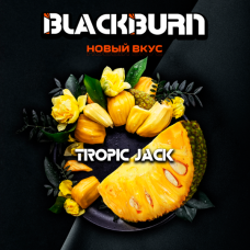 Табак для кальяна Black Burn Tropic jack (Спелый Джекфрут) 25 г Табак для кальяна Black Burn Tropic jack (Спелый Джекфрут) 25 г