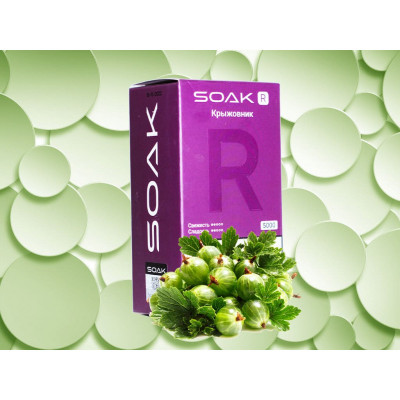 Электронная сигарета SOAK R Gooseberry (Крыжовник) 2% 5000 затяжек