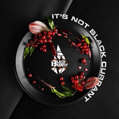 Табак для кальяна Black Burn It's not black currant (Красная смородина) 25 г