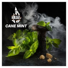 Табак для кальяна Black Burn Cane Mint (Тростниковая мята) 25 г Табак для кальяна Black Burn Cane Mint (Тростниковая мята) 25 г