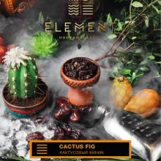 Табак для кальяна Element Земля Cactus Fig (Кактусовый финик) 40 г Табак для кальяна Element Земля Cactus Fig (Кактусовый финик) 40 г