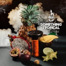 Табак для кальяна Black Burn Something Tropical (Тропические фрукты) 200 г Табак для кальяна Black Burn Something Tropical (Тропические фрукты) 200 г