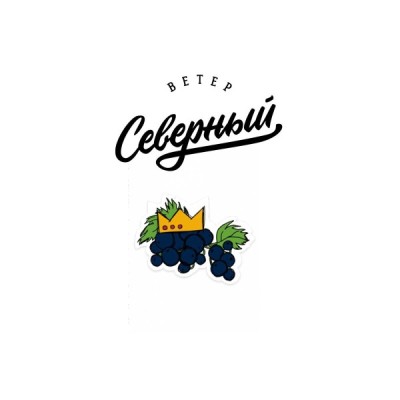 Табак для кальяна Северный Черная смородина 40 г