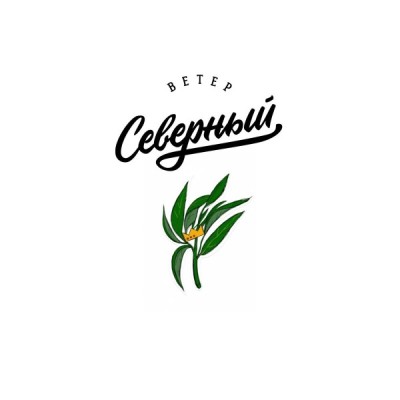 Табак для кальяна Северный Борзый эвкалипт 25 г