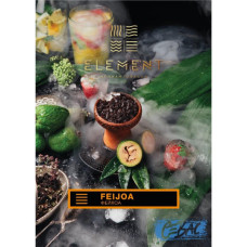 Табак для кальяна Element Земля - Feijoa (Фейхоа) 25гр Табак для кальяна Element Земля - Feijoa (Фейхоа) 25гр